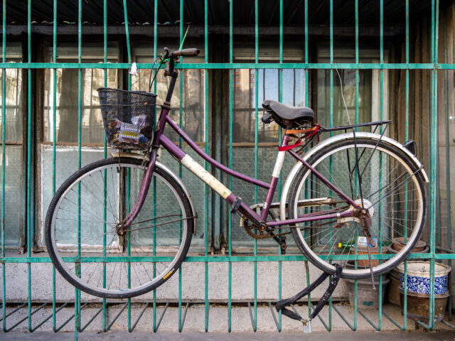 Peking Fahrrad 20131230 RM 110549